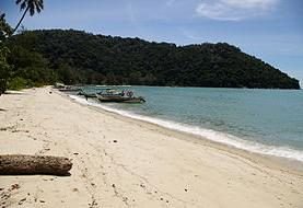 Penang National Park