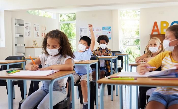 Malaysia's International Schools: Student Nationality Percentage and Visa Application Process