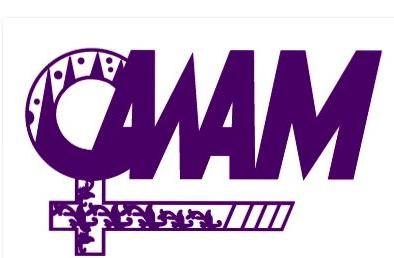 All Women's Action Society (AWAM)