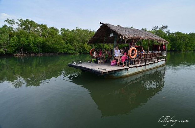 Borneo Kellybays — photo 1