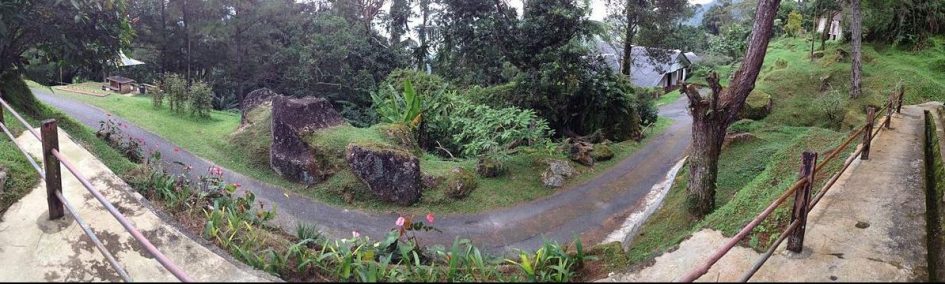 Bukit Larut ( Maxwell Hill ) — photo 1