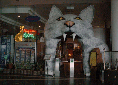 Cat Museum — photo 1