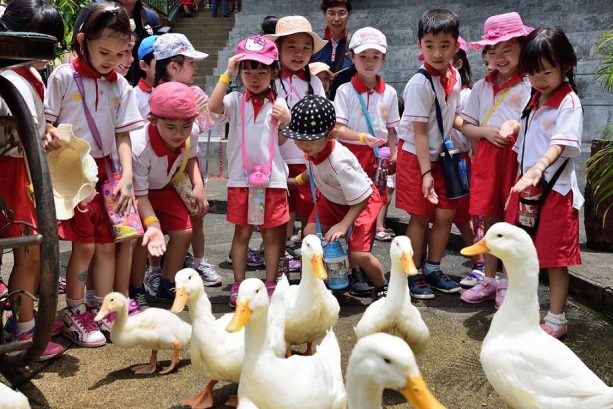 H'Apples Kindergarten, The Cube @ Bandar Puteri Puchong — photo 3