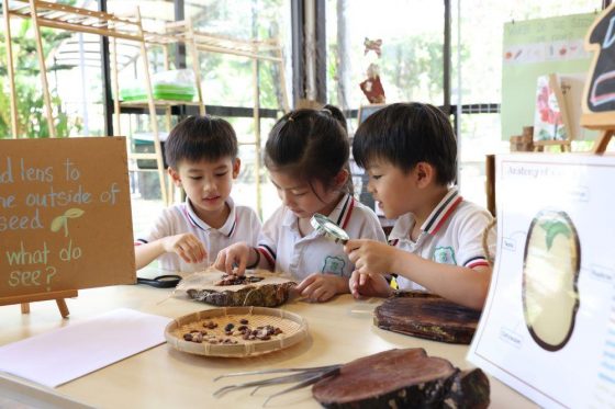 InspiraSeed Kindergarten, Bandar Puteri, Puchong — photo 2