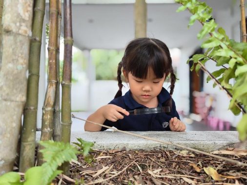 Kinder Koala Preschool, Petaling Jaya — photo 5