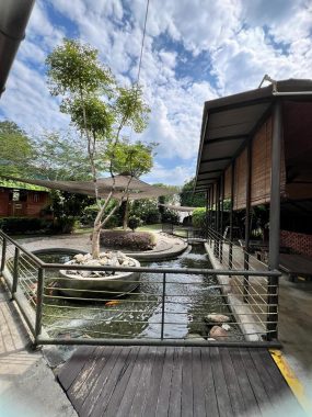 Little Urban Forest, Taman Bukit Desa — photo 2