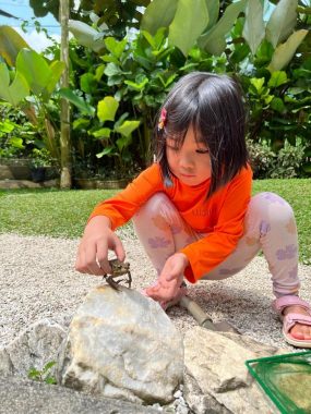 Little Urban Forest, Taman Bukit Desa — photo 5