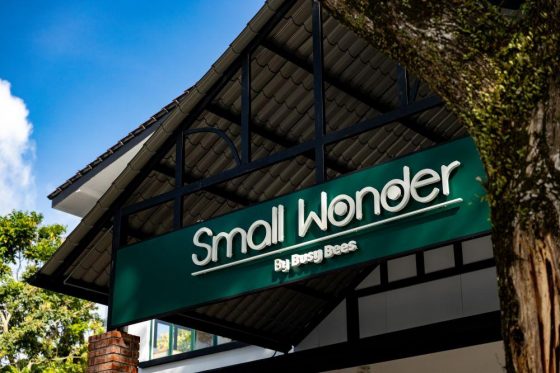 Small Wonder Malaysia, Setia Tropika, Johor — photo 3
