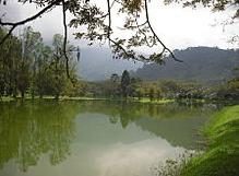 Taiping Lake Garden — photo 1