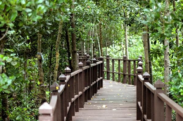 Tanjung Prai National Park — photo 1