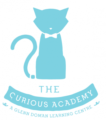 The Curious Academy — photo 1