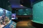 UMS Aquarium and Marine Musuem — photo 1