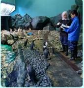 Underwater World Langkawi — photo 1