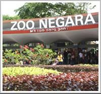 Zoo Negara — photo 1