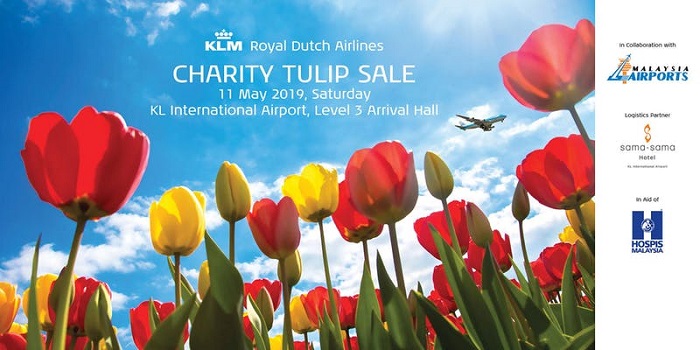 KLM Charity Tulip Sale KLM Charity Tulip Sale