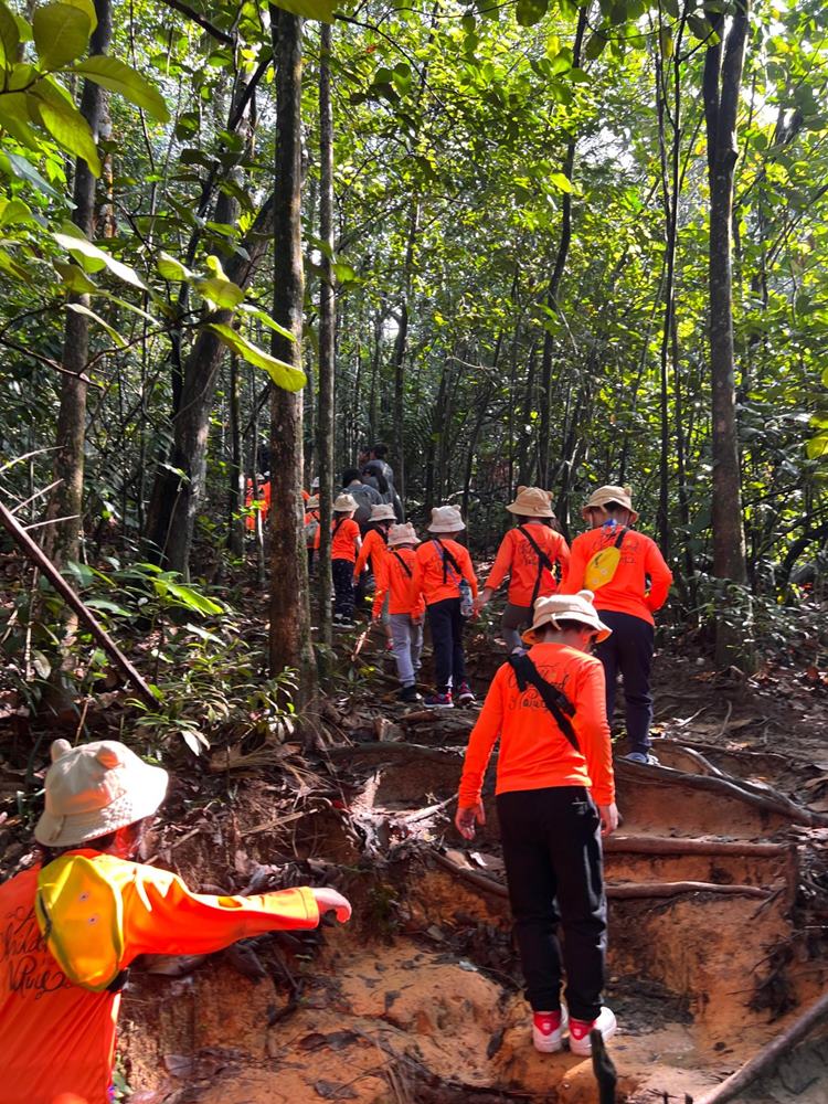 Little Urban Forest, Taman Bukit Desa