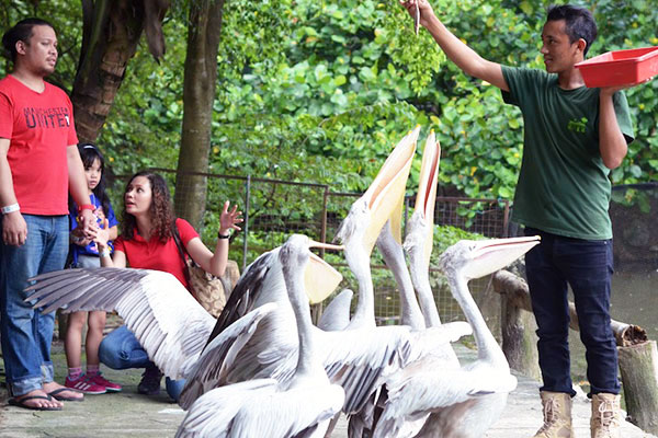 5 Outdoor Activities To Do With Your Child During The School Holidays!