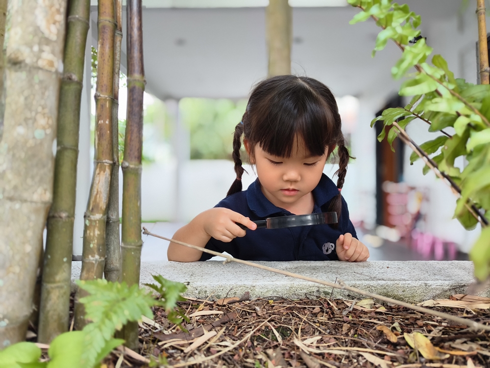 Kinder Koala Preschool Petaling Jaya Kinder Koala Preschool Petaling Jaya