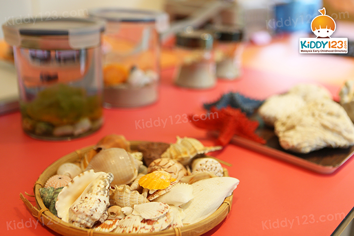 kinder koala preschool